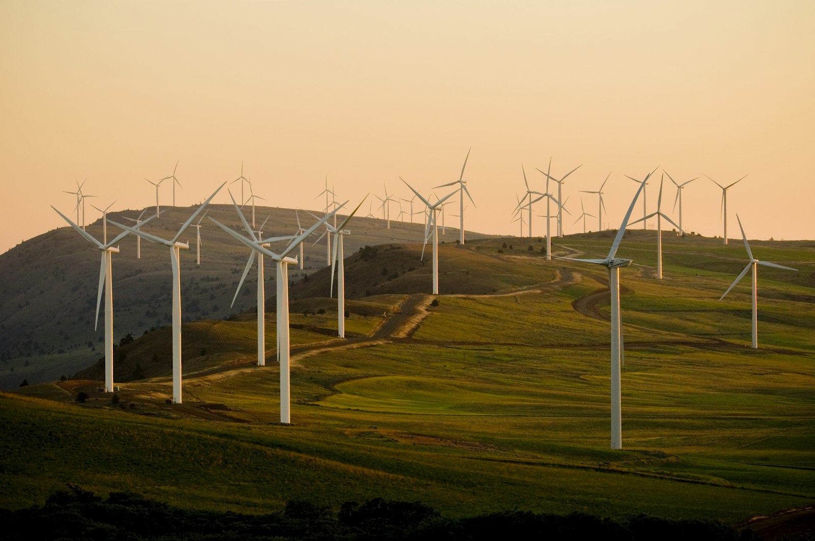 Wind turbines along a ridge of rolling hills at dusk